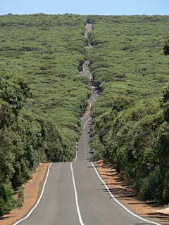 HuangJYu采集到道路