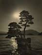 https://monovisions.com/wp-content/uploads/2019/04/yamamoto-masao-bonsai-01.jpg