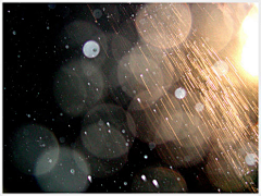 jackchen采集到雨中的灵感摄影