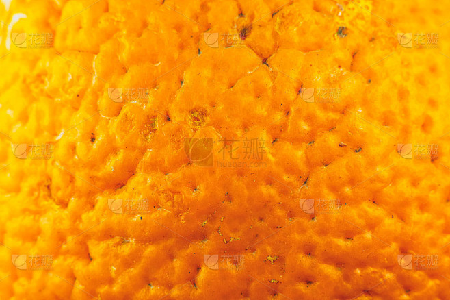 橘皮纹理的特写照片。橘子成熟果实背景，宏观视图。人类皮肤问题概念，粉刺和脂肪团。