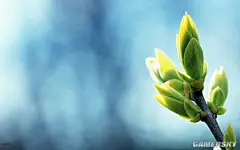 唯美风景版-1，本版主题：春景

春节春节，里面还有一个“春”字，过完春节，离春天可就不远了