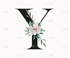 大写字母Y装饰着绿叶和恐慌。英文字中带有花卉装饰的字母.花信.