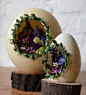 【蛋壳艺术品】漂亮植物的小天地，我们一直对复活节空心彩蛋里面的美丽小世界感到好奇，复活节空心彩蛋的小花园，自己钻孔雕刻一个吧！