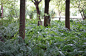 DSC04695.JPG