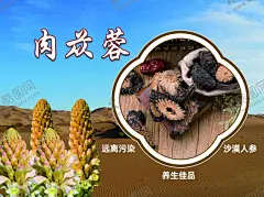 肉苁蓉 【酷图网】肉苁蓉简介,肉苁蓉展板,肉苁蓉海报,苁蓉,大芸,苁蓉海报,苁蓉展板,苁蓉宣传,苁蓉广告,苁蓉作用,苁蓉宣传海报,苁蓉宣传展板,苁蓉展架,苁蓉易拉宝,苁蓉简介,苁蓉宣传单,苁蓉传单,苁蓉文化,中医苁蓉,中药苁蓉,地精,金笋,中药材,药材,名贵药材,肉苁蓉,沙漠人参,中医,中药,九大仙草