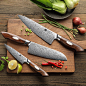 Hot Sale 110 Layers Dual-core Damascus Steel Desert Ironwood Handle Luxury Kitchen 3 Pcs Chef Knife Set - Buy Damascus Knife Set,Kitchen Knife Set,Chef Knife Set Product on Alibaba.com