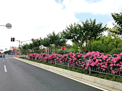 SSSSYSJZ采集到道路景观