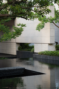 maystacey采集到示范区