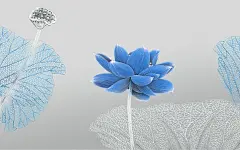 超唯美，中式花鸟壁纸，211张 高清版！-室内设计-拓者设计吧