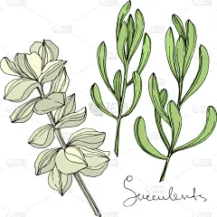 雕刻图像,肉质植物,植物学,铅笔,壁纸,植物群,春天,乡村风格,花