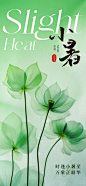地产美业大暑节气海报