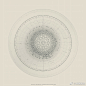 轨道力学的复杂图形 【艺术家 Tatiana Plakhova】 ​​​​