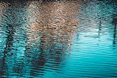 Reflective Ripples : Self-project dedicated to the magical and quiet nature scenery. Capturing the magic and beauty of water and its patterns and reflections.