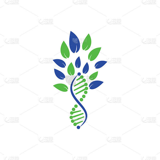 DNA树矢量标识设计。DNA与绿叶矢量标志设计。