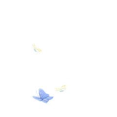 _raku采集到动图 素材