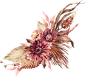 艳丽粉红色花朵