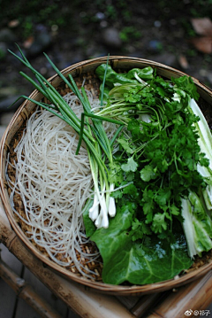 李大胆！采集到蔬菜素材-png