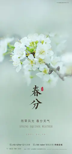 二十四24节气春分春天海报设计企业宣传插画节日psd素材模版(3)