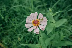 护眼高清壁纸的搜索结果_360图片