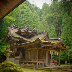 臧锦采集到场景