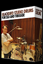 史提芬石板SSD4黑鸟工作室鼓扩张Steven Slate SSD4 Blackbird Studio Drums Expansion-天天素材网