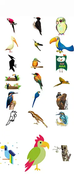 鸟类动物啄木鸟海报素材png系列