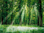 landscapes nature