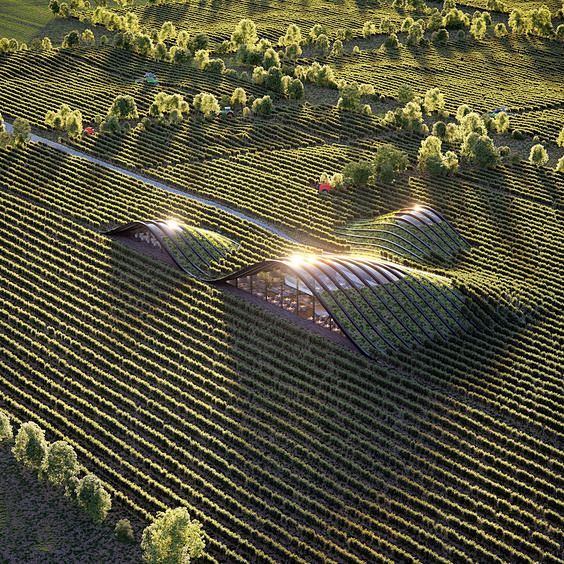 Project: Vineyard | ...