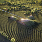 Project: Vineyard | Place: Kakheti, Georgia | Client: X-Architecture | Software: 3ds max, corona, psFull CGI: 