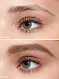 Expert Eyebrow Palette - 101 Dark Brown – SHEGLAM