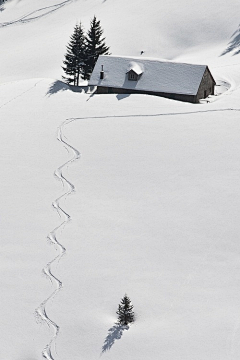 深情海洋采集到雪色美景！