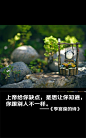 李宫俊的诗图片、文字美图、文字控图片、三行情书、文字图片、