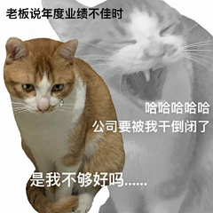大大--采集到视觉