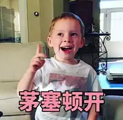 微信 QQ 搞笑 表情包 哈哈 (3896)