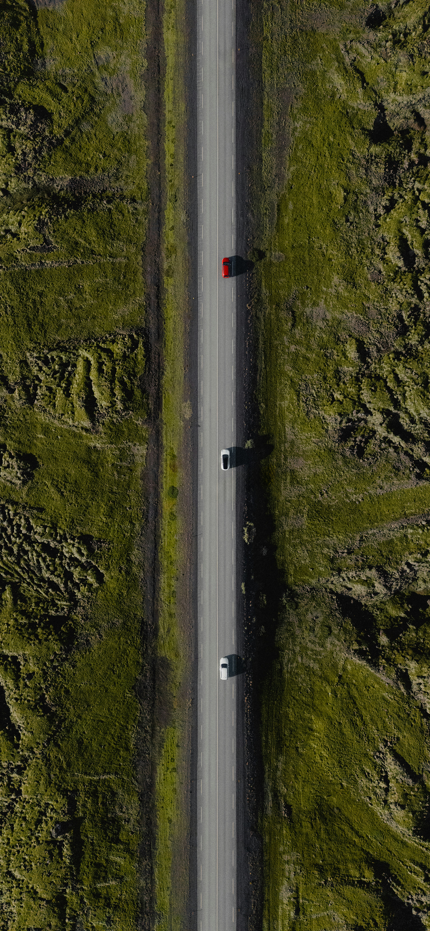 又发现一张还不错的手机壁纸