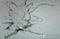 flash相关流体效果第二弹FX Designs by Chris Graf-游戏特效论坛 - Powered by Discuz!