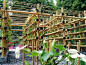 The Babylon Urban Garden Made Out of Bamboo VegetablesVertical garden