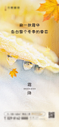 霜降节气海报