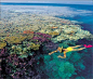 澳大利亚，大堡礁