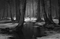 Meeting on the forest river