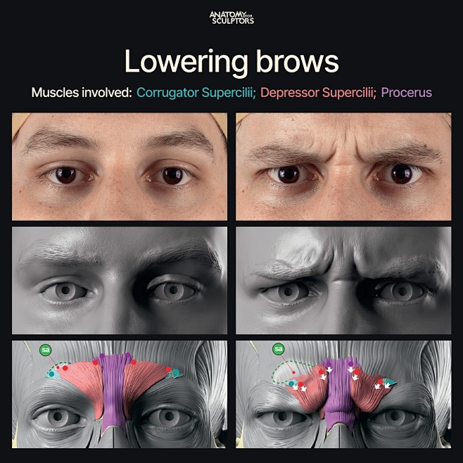Lowering brows - Fac...