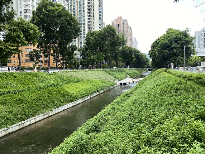 河道绿化