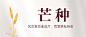 芒种节气祝福问候实景公众号首图