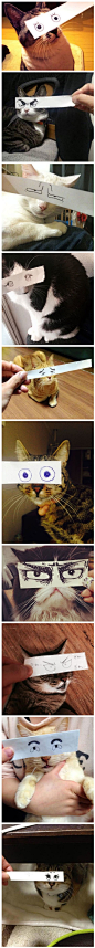 cats-paper-eyes.jpg (564×5628)