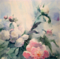 王葵安的相册-兔子の花