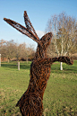 Portfolio - Emma Stothard - Sculptor | Willow Sculpture and Wire Sculpture | North Yorkshire, UK