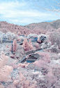 日本奈良县吉野山以樱花而闻名
