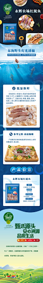 鱿鱼长图文