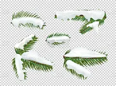 雪,枝,绿色,松树,自然,季节,计划书,多样,收集,庆祝