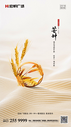 青芒0915采集到小满